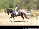 U.S. Trainers & Judges Young Horse Forum<br>Day 2<br>
Dr.Dieter Schule<br>
Demonstrating the Expectations<br>
of the 5 yrs. old<br>
Assisting<br>
Sabine Schut-Kery<br>
Sanceo<br>
Hanoverian<br>
by: San Remo<br>
5 yrs. old Stallion<br>
Durati