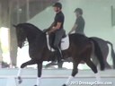 USDF APPROVED<br>University Accreditation<br>USDF Trainers Conference<br>
Day 2<br>
Steffen Peters<br>
Riding & Lecturing<br>
Equestricons ET Voila<br>
Hanoverian<br>
7 yrs. Old Gelding<br>
by: Earl<br>
Training: PSG<br>
Owner: ET Adventure,