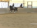 IDCTA Illinios Dressage & Combined Training Association<br>
Lilo Fore<br>
Assisting<br>
Heather McCarthy<br>
Saphira<br>
Training: I1-I2<br>
Duration: 52 minutes