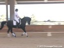 CDS Charlotte Bredahl<br>
Assisting<br>
LeAnne Mounce<br>
LL Dark Image<br>
11 yrs. Old Stallion<br>
Arabic<br>
Training: 2nd level<br>
Duration: 33 minutes