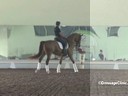 USDF APPROVED<br>University Accreditation<br>USDF Trainers conference<br>
Day 2<br>
Steffen Peters<br>
Riding & Lecturing<br>
& Assisting<br>
Marne Martin-Tucker<br>
Royal Coeur<br>
Oldenburg<br>
8 yrs. Old Mare<br>
by: Royal Hit<br>
Dur