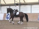 WDCTA Wisconsin Dressage & Combined Training Association<br>Day 1<br>
PSG Intermediare I<br>
Steffen Peters<br>
& Janet Foy<br>
Assisting<br>
9 yrs. old Hanoverian Gelding<br>
12 yrs. old Dutch Gelding<br>
10 yrs. old Holsteiner Gelding<br>