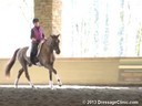 GDCTA Annual Symposium with<br>
Scott Hassler<br>
Assisting<br>
Sandie Gaines-Beddard<br>
Flairance<br>
Oldenburg<br>
by: Serano Gold-Rubin Royal<br>
5 yrs. Old Mare<br>
Training: FEI 5 yrs. old<br>
Duration: 26 minutes