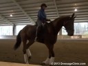 GDCTA Annual Symposium with<br>
Scott Hassler<br>
Assisting<br>
Michele Folden<br>
Monbticello VT<br>
Hanoverian<br>
by: Virginia Tech<br>
4 yrs. old<br>
Owner: Dr. Heather Will<br>
Duration: 30 minutes