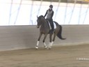 IDCTA Illinios Dressage & Combined Training Association<br>
Lilo Fore<br>
Assisting<br>
Andi Patzwald<br>
Bellini<br>
Training:2nd Level<br>
Duration: 34 minutes