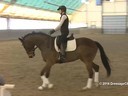 IDCTA Illinios Dressage & Combined Training Association<br>
Lilo Fore<br>
Assisting<br>
Andi Patzwald<br>
Bellini<br>
Training:2nd Level<br>
Duration: 29 minutes