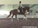 USDF APPROVED<br>University Accreditation<br>USDF Trainers Conference<br>
Day 1<br>
Steffen Peters<br>
Assisting<br>
J.J.Tate<br>
Summersby<br>
6 yrs. Old Mare<br>
by: Sir Donnerhall<br>
Duration: 27 minutes
