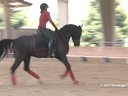 CDS Junior Young Rider Clinic<br>
Charlotte Bredahl<br>
Assisting<br>
Reilly Strahan<br>
Martellato<br>
8 yrs old Gelding<br>
Hanoverian/Arabian
Training: 2nd Level<br>
Duration: 27 minutes