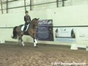 U.S.Trainers & Judges Young Horse Forum<br>Michael Poulin<br> 
& Christoph Hess<br>
Analyzing FEI 5 Yr. old Test<br>
Jane Hannigan Riding<br>
Armani<br>
Duration: 24 minutes