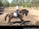 U.S. Trainers & Judges Young Horse ForumDay 2
Dr. Dieter Schule
Demonstrating the Expectations
of the 5 yrs, old
Assisting
Jo Moran
RHR Smooth Jazz
Oldenburg
by: Samarant
5 yrs. old Gelding
Owner: