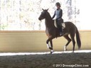 GDCTA Annual Symposium with
Scott Hassler
Assisting
Jessica Barnes
Ezabella HF
by:  Rousseau
Dutch Warmblood Mare
Owner: Julie Ballard Haralson
Duration: 29 minutes