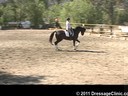U.S. Trainers & Judges Young Horse Forum<br>Day 1<br>
Dr. Dieter Schule<br>
Assisting<br>
Sabine Schut-Kery<br>
Sanceo<br>
by: San Remo<br>
Hanoverian<br>
5 yrs. old Stallion<br>
Duration: 12 minutes