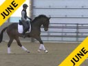 IDCTA Illinios Dressage & Combined Training Association<br>
Lilo Fore<br>
Assisting<br>
Andi Patzwald<br>
Bellini<br>
Training:2nd Level<br>
Duration: 40 minutes