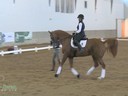 IDCTA The Illinois Dressage & Combined Training Assosiation Presents<br>
Jan Brink<br>
Assisting<br>
Amy Walker-Basak<br>
Wagners<br>
8 yrs. Old KWPN Gelding<br>
Training: 4th Level<br>
Duration: 41 minutes