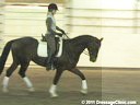 U.S.Trainers & Judges Young Horse ForumPart 3Discussion & PracticalDemonstration of Gaitsby Micheal Poulin & Christoph HessSubjects:Basic PacesAbility of MovementRhythm & TempoTraining ScaleTrain