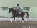 USDF APPROVED<br>University Accreditation<br>USDF Trainers Conference<br>
Day 1<br>
Steffen Peters<br>
Assisting<br>
Stacey Parvey-Larsson<br>
Benidetto<br>
Hanoverian<br>
8 yrs. Old Stallion<br>
by: Belissimo M<br>
Duration: 50 minutes