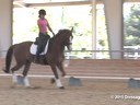 CDS Junior Young Rider Clinic<br>
Charlotte Bredahl<br>
Assisting<br>
Lily Bennett<br>
Tucker<br>
16 yrs. Old Gelding<br>
KWPN<br>
Training: 3rd Level/PSG<br>
Duration: 37 minutes