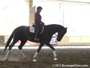 GDCTA Annual Symposium with
Scott Hassler
Assisting
Anneliese Vogt-Harber
Hot Black Chocolate
Oldenburg
17 yrs. Old Mare 
by: Hotline
Duration: 28 minutes