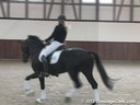 Anja Plonzke<br>
Riding & Lecturing<br>
Rousseau Noir<br>
Hanoverian<br>
5 yrs. old Stallion<br>
Training: 1st/2nd Level<br>
Owner: Anja Plonzke<br>
Duration: 28 minutes