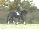 Leonie Bramall<br>Riding & Lecturing<br>Trekaner<br>6 yrs. old Stallion<br>Training: M Level<br>Duration: 27 minutes