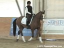 WDCTA Wisconsin Dressage & Combined Training AssociationDay 2
Training Level
Steffen Peters&Janet Foy
Assisting
6 yrs. old German Pony Gelding
5 yrs. old Elite Hanoverian Mare
6 yrs. old Hanoverian Gelding