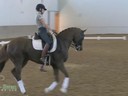 IDCTA The Illinois Dressage & Combined Training Assosiation Presents<br>
Jan Brink<br>
Assisting<br>
Agata Rekucka<br>
High Five<br>
9 yrs. Old Trakehner Gelding<br>
Training: 4th Level<br>
Duration: 49 minutes