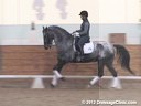 WDCTA Wisconsin Dressage & Combined Training Association<br>Day 1<br>
Third Level<br>
Steffen Peters<br>
& Janet Foy<br>
Assisting<br>
9 yrs. old Friesian Mare<br>
8 yrs. old Friesian Mare<br>
18 yrs. old Dutch Mare<br>
Duration: 58 minute