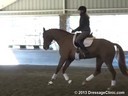 GDCTA Annual Symposium with<br>
Scott Hassler<br>
Assisting<br>
Sandie Gaines-Beddard<br>
Flairance<br>
Oldenburg<br>
by: Serano Gold-Rubin Royal<br>
5 yrs. Old Mare<br>
Training: FEI 5 yrs. old<br>
Duration: 39 minutes