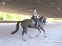 David Marcus<br>
Riding & Lecturing<br>
Edy Rava<br>
7 yrs. Old Mare<br>
KWPN<br>
Training: Schooling 4th Level<br>
Owner: Tuny Page<br>
Duration: 41 minutes