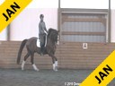 Markus Gribbe<br>
Assisting<br>
Rochelle Kilberg<br>
Rudy<br>
Hanoverian Rotsporn<br>
9 yrs.old Gelding<br>
Training: 1-2/GP Level<br>
Owner: Rochelle Kilberg<br>
Duration: 37 minutes