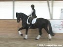 WDCTA Wisconsin Dressage & Combined Training AssociationDay 2
PSG Intermediare I
Steffen Peters
& Janet Foy
Assisting
9 yrs. old Hanoverian Gelding
12 yrs. old Dutch Gelding
10 yrs. old Holsteiner Gelding