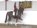 Ulla Salzgeber<br>
Riding & Lecturing<br>
Wakana<br>
Thuringen<br>
by:Wolkentanz<br>
Owner: Ulla Salzgeber<br>
10 yrs. old Mare<br>
Tarining: GP Level<br>
Duration: 32 minutes