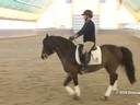 IDCTA Illinios Dressage & Combined Training Association<br>
Lilo Fore<br>
Assisting<br>
Kerry Johnson<br>
Red Fish Blue Fish<br>
Training: 4th Level<br>
Duration: 43 minutes