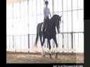 Day 2<br>
Mary Wanless<br>
Assisting<br>
Peri Lambros<br>
Riding Sonny<br>
Dutch  Warmblood<br>
13 yrs.old<br>
Training: 3rd Level<br>
Duration: 28 minutes