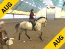 IDCTA Illinios Dressage & Combined Training Association<br>
Lilo Fore<br>
Assisting<br>
Samantha Melchiori<br>
Ali Jandro<br>
Training: 1st  Level<br>
Duration: 44 minutes