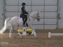 IDCTA The Illinois Dressage & Combined Training Assosiation Presents<br>
Jan Brink<br>
Assisting<br>
Eliza Ardizzone<br>
Favory VIII Ivana<br>
6 yrs. old Stallion<br>
Training: 2nd Level<br> 
Duration: 47 minutes