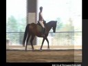 Day 2<br>
Mary Wanless<br>
Assisting<br>
Judy Greene<br>
Riding Celius<br>
Holsteiner<br>
9 yrs. old<br>
Training: 1st Level<br>
Duration: 24 minutes