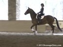 GDCTA Annual Symposium with
Scott Hassler
Assisting
Jessica Barnes
Ezabella HF
by:  Rousseau
Dutch Warmblood Mare
Owner: Julie Ballard Haralson
Duration: 33 minutes