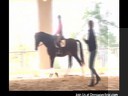 Day 1<br>
Mary Wanless<br>
Assisting<br>
Peri Lambros<br>
Riding Sonny<br>
Dutch Warmblood<br>
13 yrs. old<br>
Training: 3rd Level<br>
Duration: 26 minutes