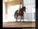 Day 3<br>
Mary Wanless<br>
Assisting<br>
Lisa Wagner<br>
Riding Jesse James<br>
Fresian/TB<br>
3 yrs. old Intro<br>
Duration: 30 minutes