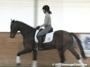 WDCTA Wisconsin Dressage & Combined Training Association<br>Day 2<br>Rider Boimechanics<br>Steffen Peters<br>& Janet Foy<br>Assisting<br>7 yrs. old Hanoverian Gelding<br>12 yrs. old Friesian Gelding<br>Duration: 29 minutes