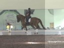 USDF APPROVED<br>
University Accreditation<br>USDF Trainers Conference<br>
Day 1<br>
Steffen Peters<br>
Riding & Assisting<br>
Marne Martin-Tucker<br>
Royal Coeur<br>
8 yrs. Old Mare Oldenburg<br>
by: Royal Hit<br>
Training:4th Level<br>
Dur