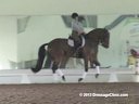 USDF APPROVED<br>University Accreditation<br>USDF Trainers Conference<br>
Day 1<br>
Steffen Peters<br>
Assisting<br>
Jami Kment<br>
Zania<br>
KWPN<br>
9 yrs. Old Mare<br>
by: Sir Sinclair<br>
Training: PSG<br>
Duration: 39 minutes