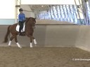 IDCTA Illinios Dressage & Combined Training Association<br>
Lilo Fore<br>
Assisting<br>
Nicole Smith<br>
Riding<br>
Elmo<br>
Duration: 47 minutes