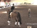 USDF Trainers Conference<br>
Day 1<br>
Steffen Peters<br>
Assisting<br>
Olivian LaGoy-Weltz<br>
Rassing’s Lonoir<br>
9 yrs. Old Gelding<br>
by: De Noir<br>
Duration: 38 minutes