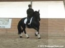 WDCTA Wisconsin Dressage & Combined Training Association<br>Day 2<br>
Third Level<br>
Steffen Peters<br>
& Janet Foy<br>
Assisting<br>
9 yrs. old Friesian Mare<br>
8 yrs. old Friesian Mare<br>
18 yrs. old Dutch Mare<br>
Duration: 25 minute