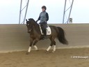 IDCTA Illinios Dressage & Combined Training Association<br>
Lilo Fore<br>
Assisting<br>
Kerry Johnson<br>
Red Fish Blue Fish<br>
Training: 4th Level<br>
Duration: 60 minutes