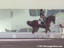 USDF APPROVED<br>University Accreditation<br>USDF Trainers Conference<br>
Day 2<br>
Steffen Peters<br>
Assisting<br>
Stacey Parvey-Larsson<br>
Benidetto<br>
Hanoverian<br>
8 yrs. Old Stallion<br>
by: Belissimo M<br>
Duration: 42 minutes