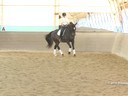 IDCTA Illinios Dressage & Combined Training Association<br>
Lilo Fore<br>
Assisting<br>
Heather McCarthy<br>
Saphira<br>
Training: I1-I2<br>
Duration: 45 minutes