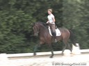 Wolfram Wittig<br>
Assisting<br>
Kyra Wulferding<br>
Sir Rubiloh<br>
by: Sir Donnerhall<br>
3 yrs. old Stallion<br>
Training: Training Level<br>
Duration: 10 minutes